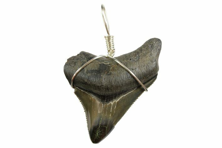 Fossil Megalodon Tooth Necklace #173838